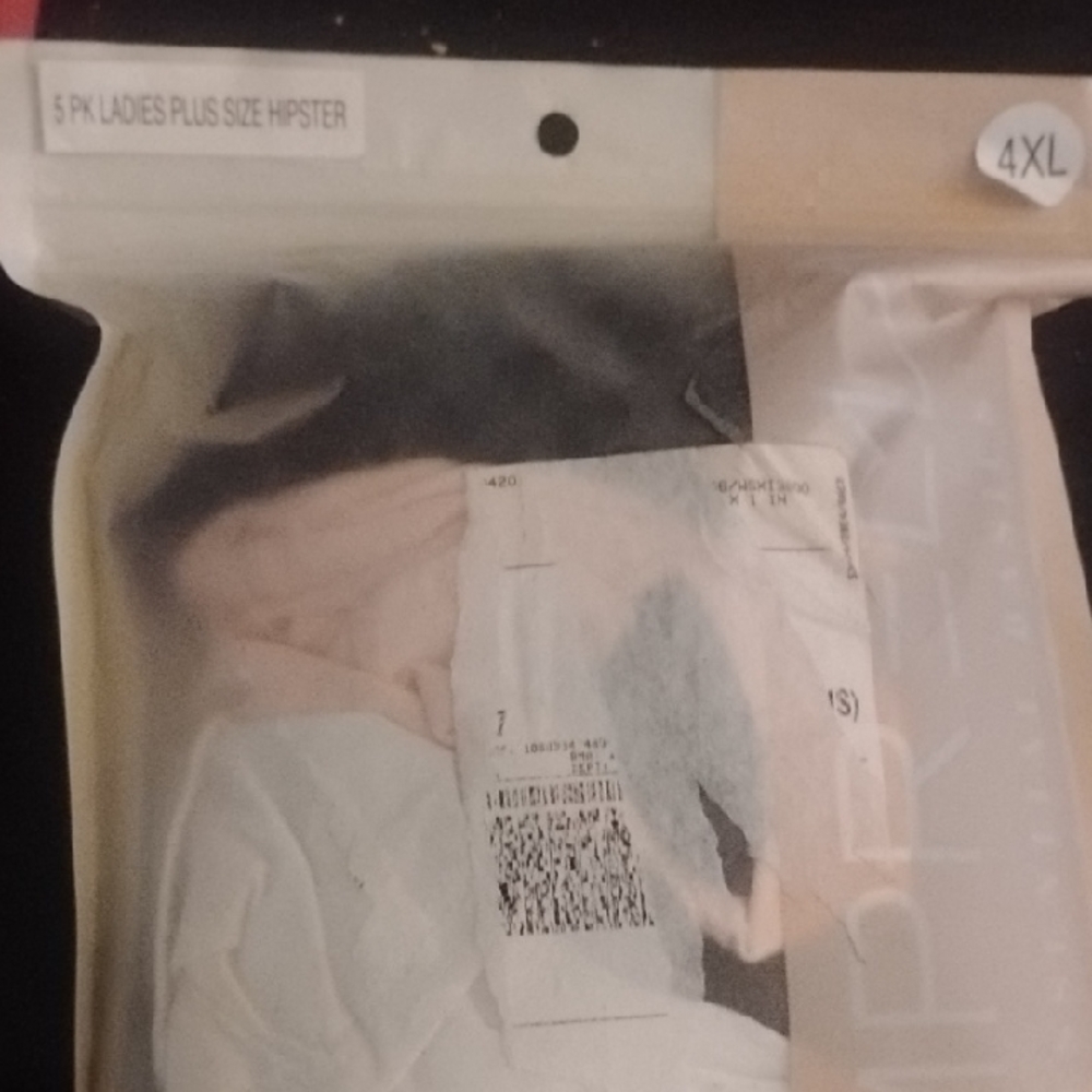 Ladies Plus Size Hipster Panties - 5 Pack